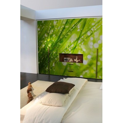 Fotomural Hierba Fresca FAN004 2