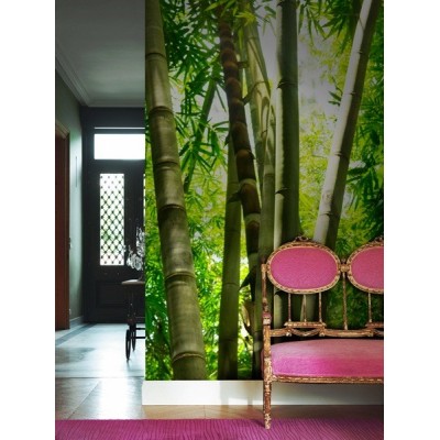 Fotomural Floresta de bambu FNA005