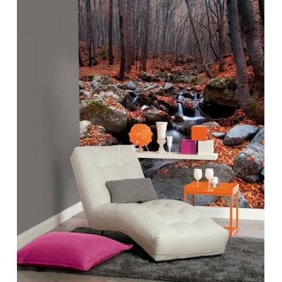 Fotomural Bosque FNA007