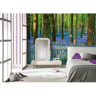 Fotomural Paisagem Flores FNA008 2