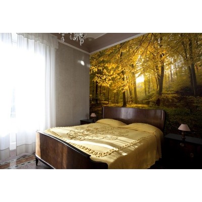 Fotomural Bosque en Otoño FNA010