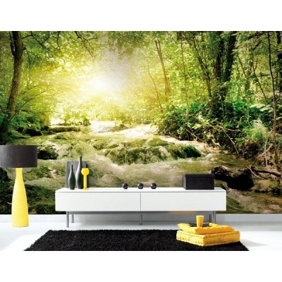 Fotomural Paisaje con Rio FNA011