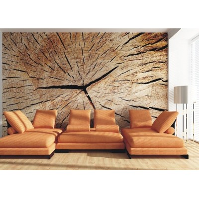 Fotomural WOOD FT-0379