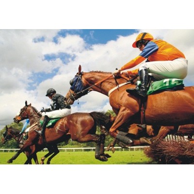Fotomural HORSE RACE WITH HURDLES FT-0381