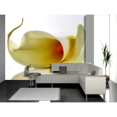 Fotomural KALA FT-1407 Fotomural KALA FT-1407