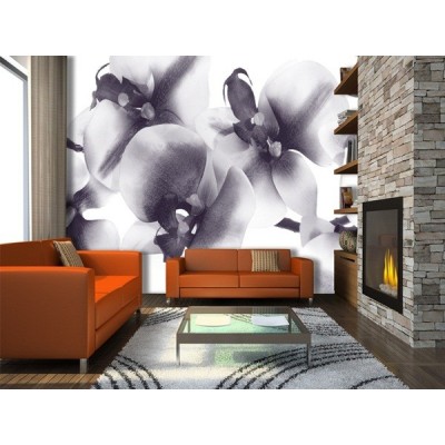 Fotomural ORCHIDS FT-1415 Fotomural ORCHIDS FT-1415