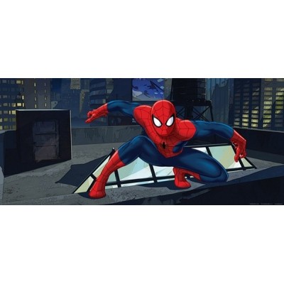 Fotomural SPIDERMAN ON ROOT