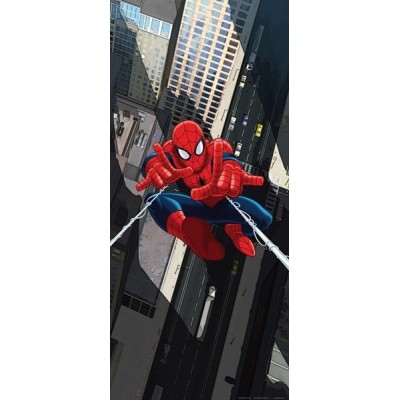 Fotomural SPIDER IN THE AIR FTDV-1814 Fotomural SPIDER IN THE AIR FTDV-1814