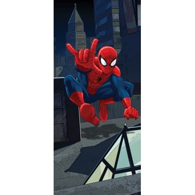 Fotomural SPIDER ON THE ROOF FTDV-1815