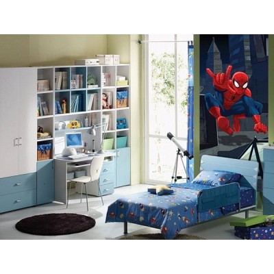 Fotomural SPIDER ON THE ROOF FTDV-1815 2