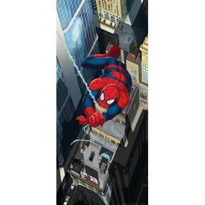 Fotomural SPIDER JUMPING FTDV-1819