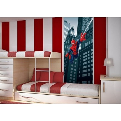 Fotomural SPIDER FLYING FTDV-1820 2