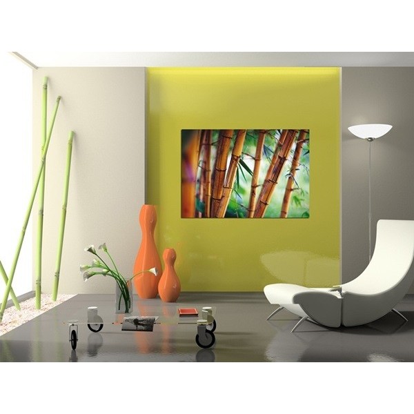 Fotomural BAMBOO
