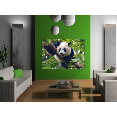 Fotomural PANDA