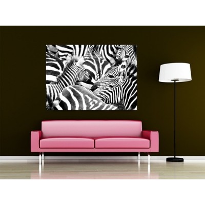 Fotomural ZEBRA 2
