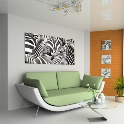 Fotomural ZEBRA