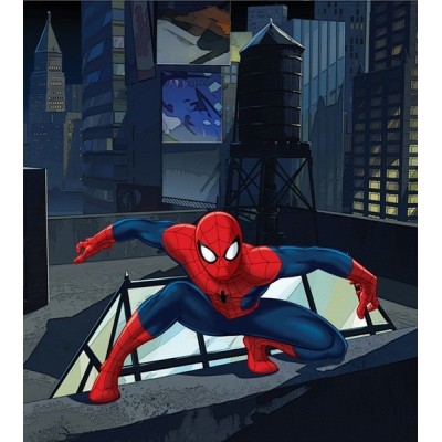 Fotomural SPIDERMAN ON ROOT FTDL-1920