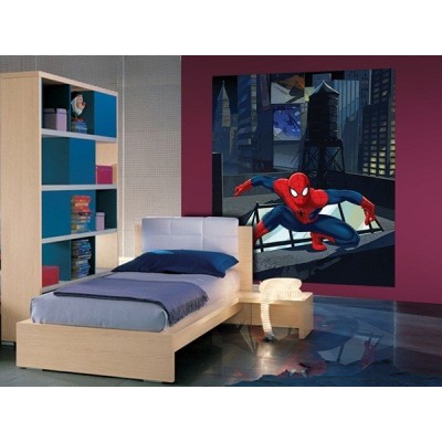 Fotomural SPIDERMAN ON ROOT FTDL-1920 2