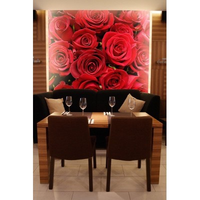 Fotomural Rosas FFL001