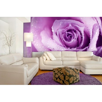 Fotomural Flor Rosa FFL003