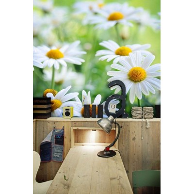 Fotomural Margaridas FFL007 2