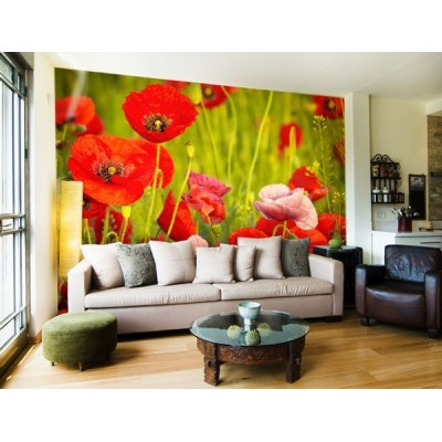 Fotomural Amapolas FFL008 2