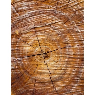 Fotomural lava-louças L038 2