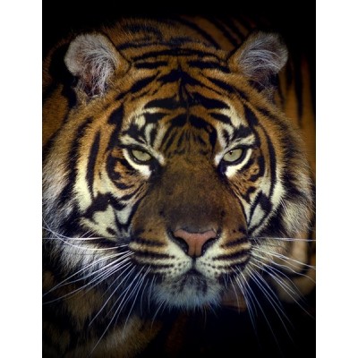 Fotomural lava-louças L036 2