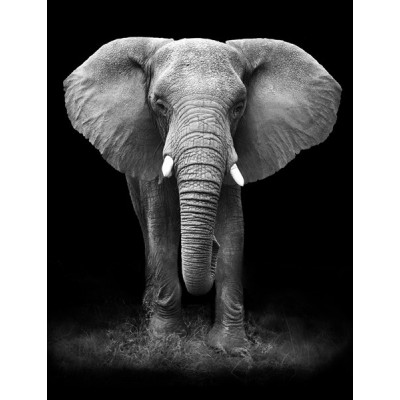 Fotomural Lavavajillas L026 Fotomural Lavavajillas L026