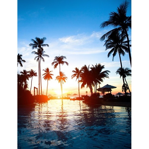 Fotomural Lavavajillas L023