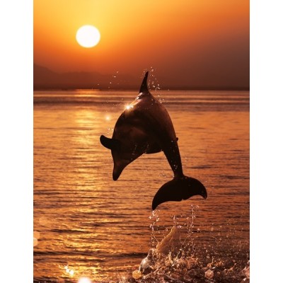 Fotomural lava-louças L019 2