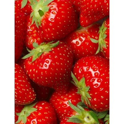 Fotomural lava-louças L017 2