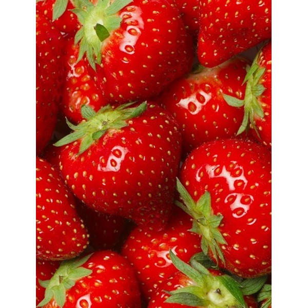 Fotomural lava-louças L017