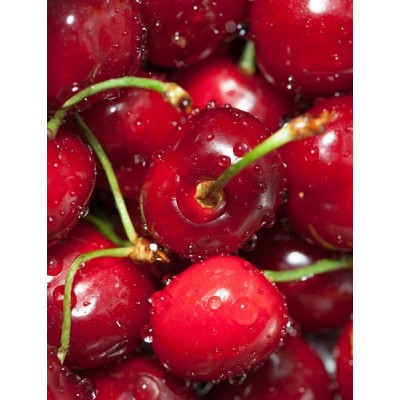 Fotomural lava-louças L016 2