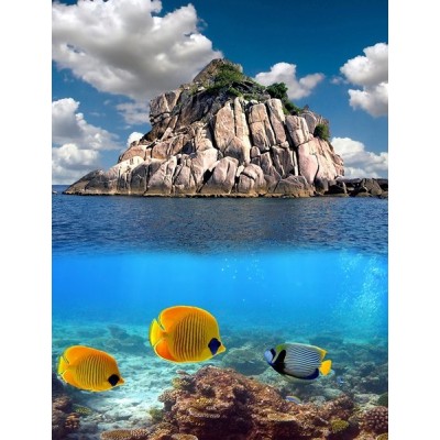 Fotomural lava-louças L004 2