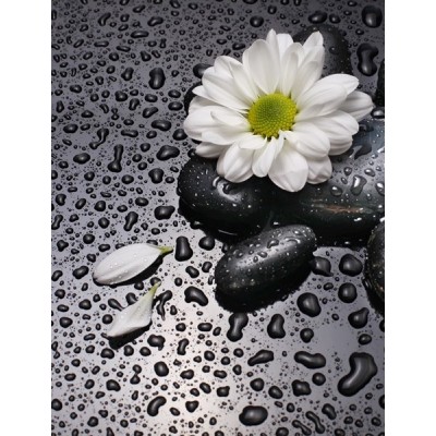 Fotomural lava-louças L002 2