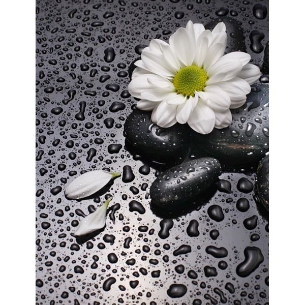 Fotomural lava-louças L002 Fotomural lava-louças L002