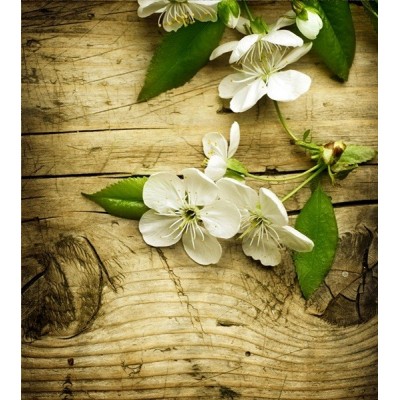 Fotomural APPLE TREE FTL-1630