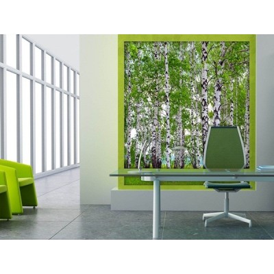 Fotomural BIRCHS FTL-1628 Fotomural BIRCHS FTL-1628