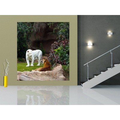 Fotomural WHITE TIGER FTL-1625 2