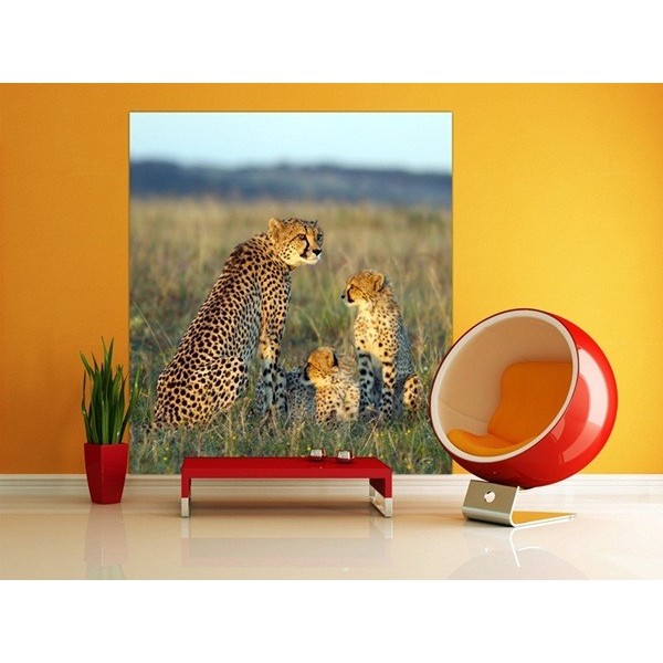 Fotomural GEPARDS FTL-1624