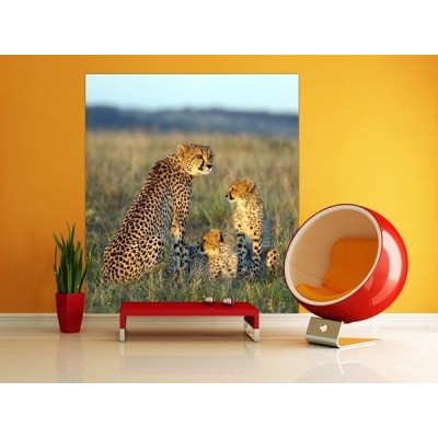 Fotomural GEPARDS FTL-1624