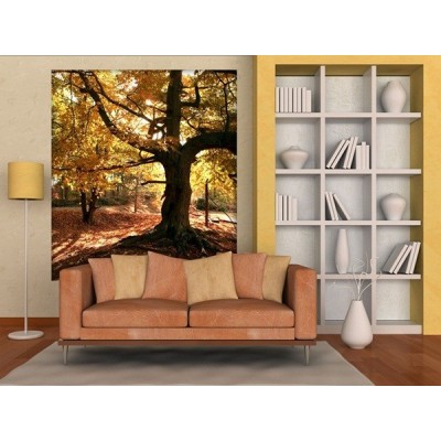Fotomural AUTUMN FTL-1611 2
