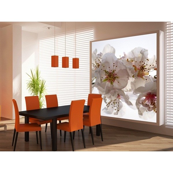 Fotomural ORCHYD FTL-1608