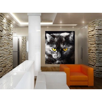 Fotomural BLACK CAT FTL-1605 2