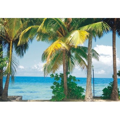 Fotomural PALMS Fotomural PALMS