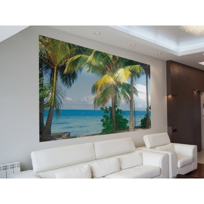 Fotomural PALMS 2