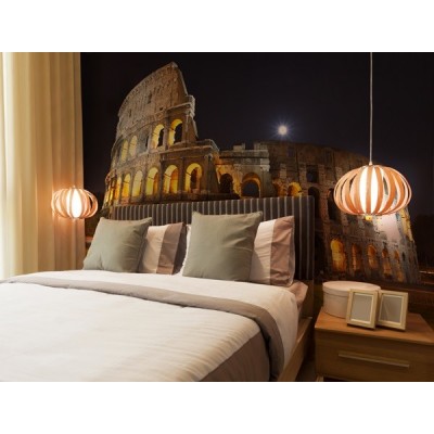 Fotomural The Colosseum FLF015 2