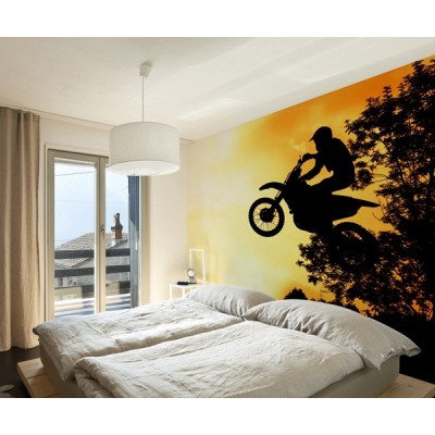 Fotomural Motor FMO005 2