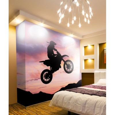 Fotomural Motor FMO010 2